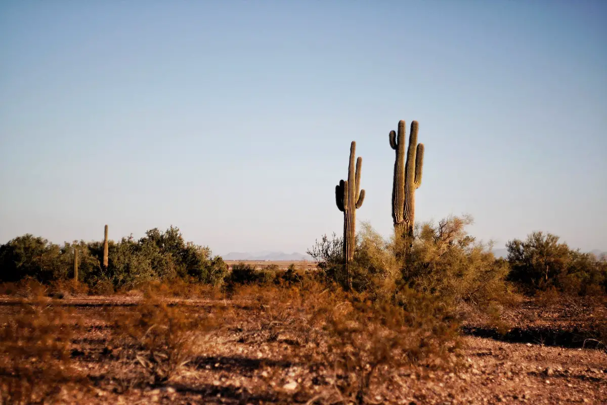 Best Running Trails In Arizona