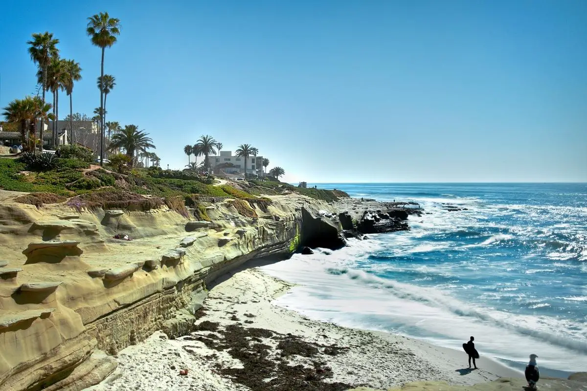 Best Trail Running Trails In La Jolla