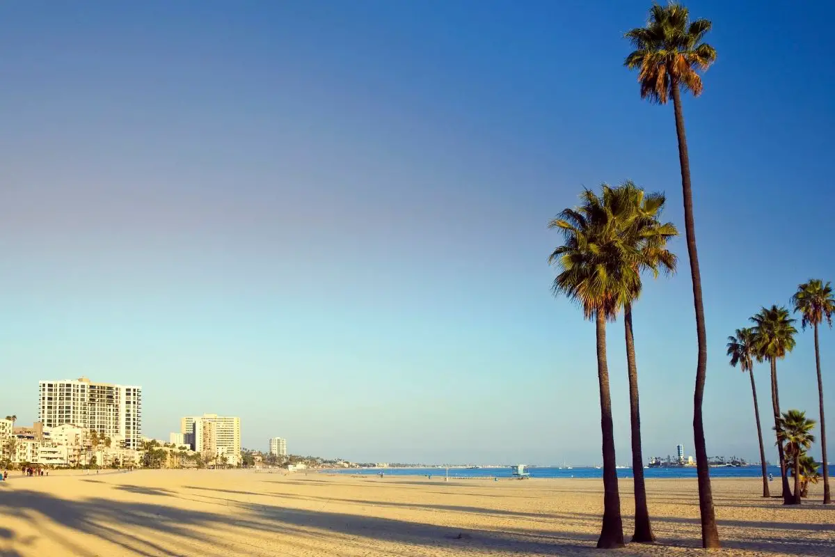 Top 10 Best Running Trails In Long Beach, CA